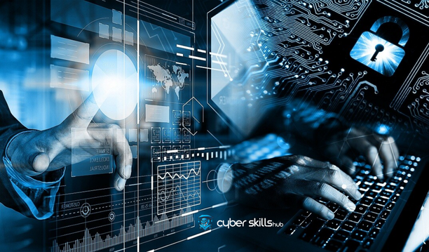 CyberSkillsHub Cybersecurity Courses: Professional Training from Beginner to Expert 2 cybersecurity courses