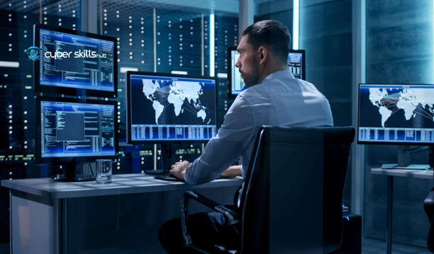 salary determinants of cybersecurity professionals