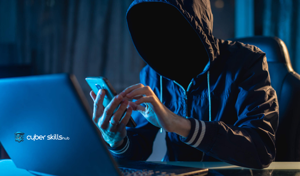 the most common internet crimes in turkey