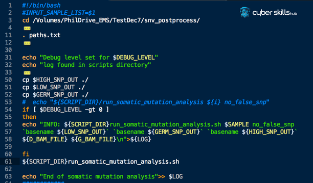 Shell Scripting: Basics and Examples 2 basics shell scripting