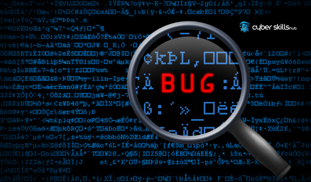 How to Gain Expertise in Bug Bounty Programs 2 bug bounty programs 1
