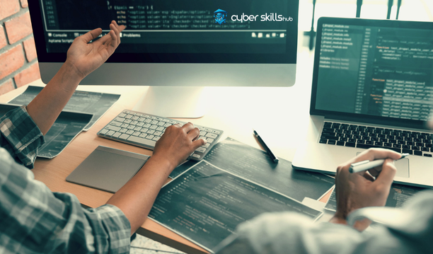 What is System and Network Expertise and How to Do It? 2 system and network