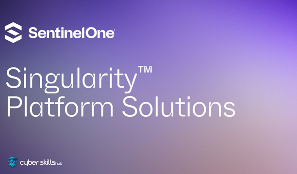 Sentinel One: What is It and How is it Used? 1 sentinel one