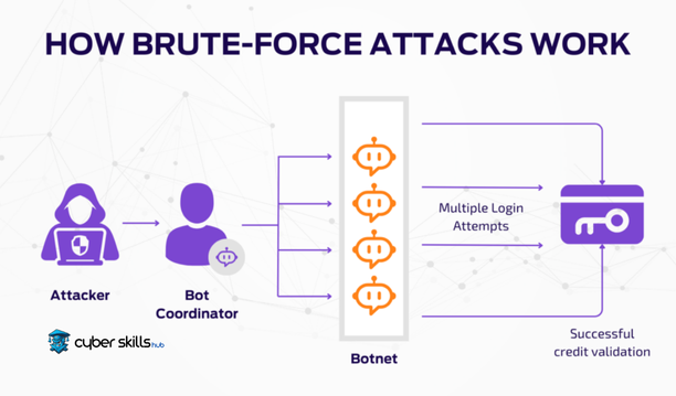 what is brute force