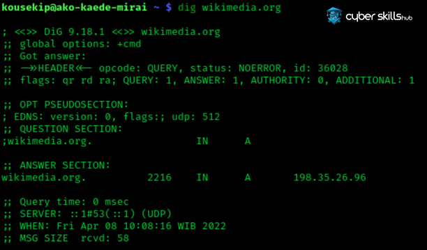 dig dns command