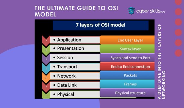 OSI Model and Layers: A Detailed Guide 2 osi model